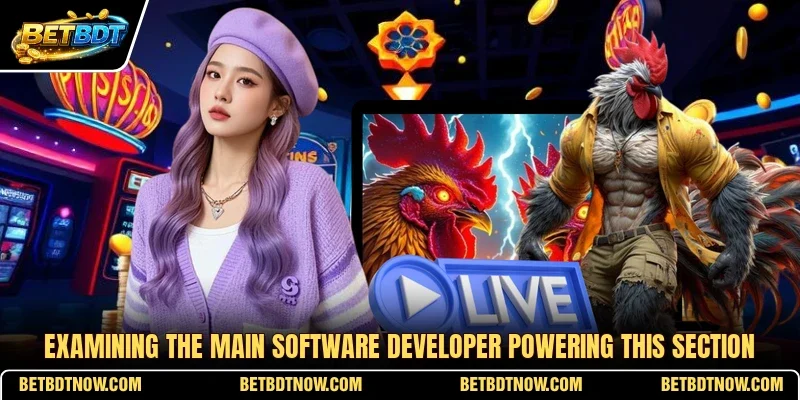 Examining the main software developer powering this section