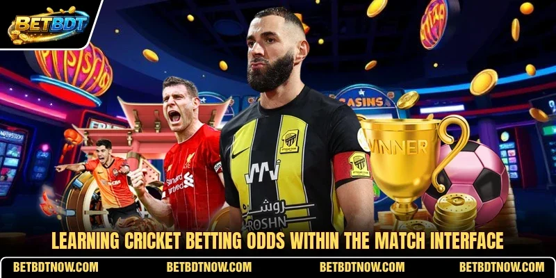 Learning cricket betting odds within the match interface