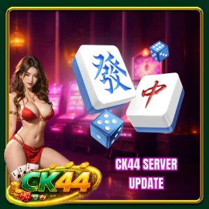 BETBDT Server Update - Optimize System And Upgrade Features